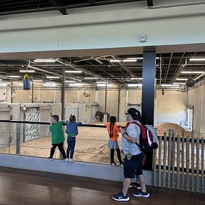 Tulsa Zoo Elephant Preserve Barn Indoor Viewing