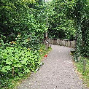 Puna aviary/South American aviary, 2023-07-18