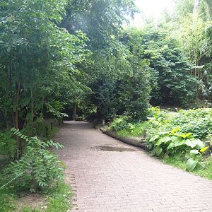 Puna aviary/South American aviary, 2023-07-18