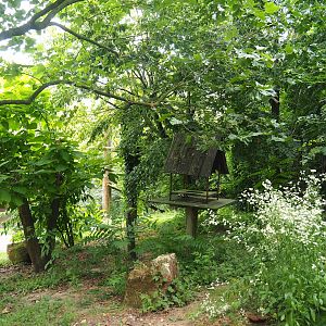 Puna aviary/South American aviary, 2023-07-18