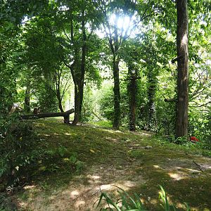 Puna aviary/South American aviary, 2023-07-18
