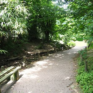 Puna aviary/South American aviary, 2023-07-18