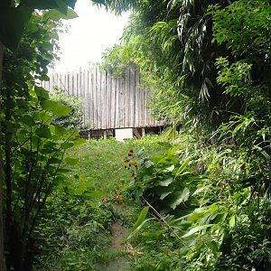 Puna aviary/South American aviary - Area near indoor housing, 2023-07-18