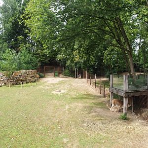 Pampas exhibit, 2023-07-18