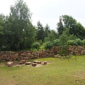 Pampas exhibit, 2023-07-18