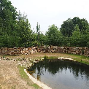 Pampas exhibit, 2023-07-18