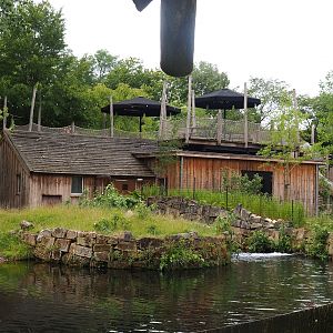 Part of lowland tapir exhibit, Tapir and terrarium building and Pampas lodge terrace, 2023-07-18