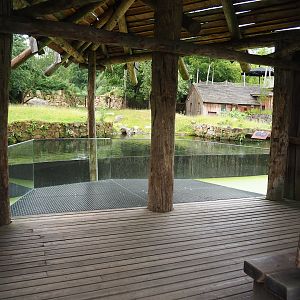 Lowland tapir viewing area, 2023-07-18