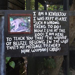 Kinkajou Signage