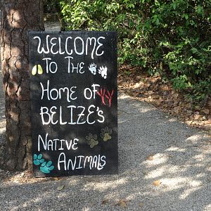 Belize Zoo Sign