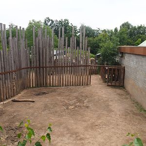 Southern white rhinoceros holding paddock, 2023-07-18