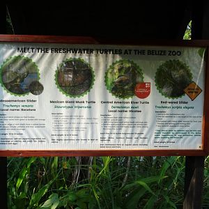 Freshwater Turtle Signage