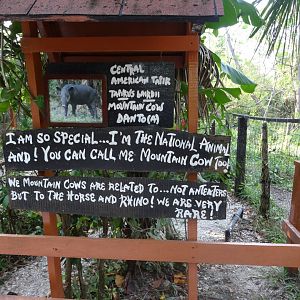 Baird's Tapir Signage