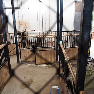 Savanna house stables, 2023-07-18