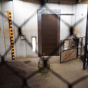 Savanna house - Giraffe stable, 2023-07-18