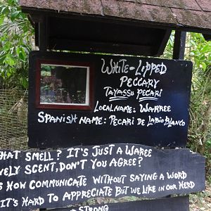 White-Lipped Peccary Signage