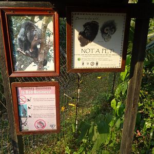 Monkeys Are Not Pets Signage