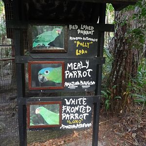 Parrot Signage