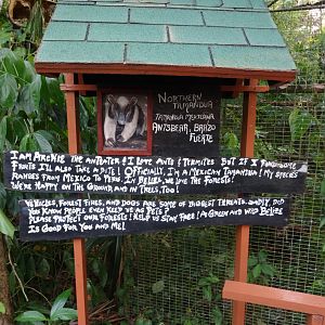 Northern Tamandua Signage