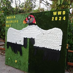 World Wildlife Day Art