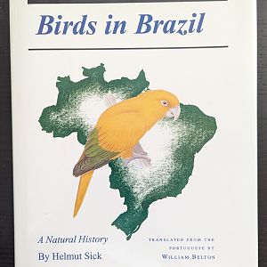 Birds in Brazil: A Natural History