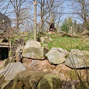 European Souslik mixed exhibit