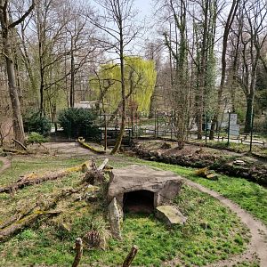 Sppoted Hyena Exhibit