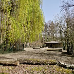 Hartmann Mountain Zebra exhibit