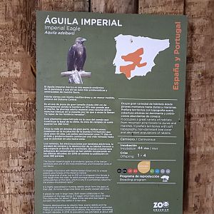 Spanish imperial eagle sign