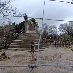 Iberian ibex and mouflon exhibit