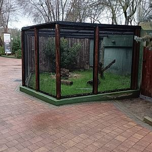 European mink enclosure