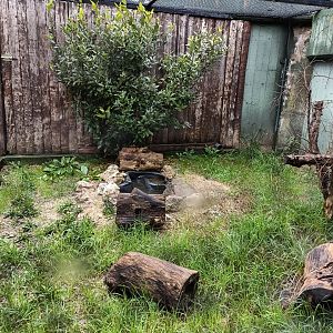 European mink enclosure