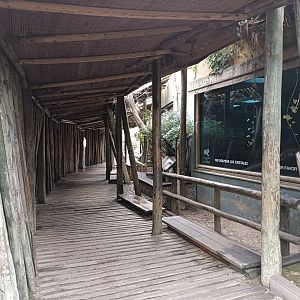 Viewing for indoor koala exhibits