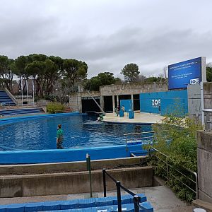 Dolphin exhibit