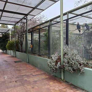 Flight exhibition exhibits