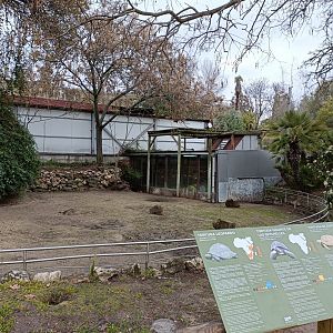 Tortoise exhibit