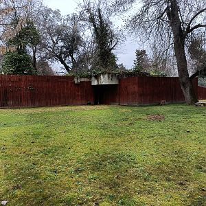 Yellow footed rock wallaby Exhibit