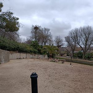 Dorcas gazelle exhibit