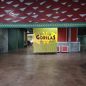 Gorilla house