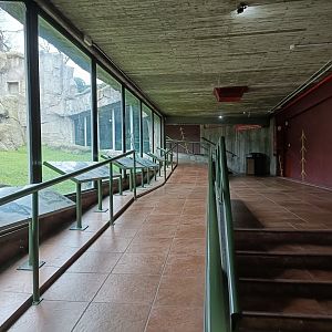 Inside gorilla house