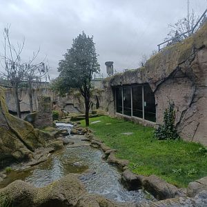 Gorilla exhibit