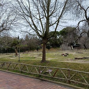Empty exhibit- Old yak exhibit