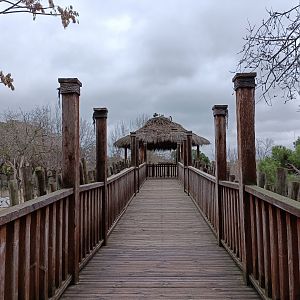 Viewing for african exhibit