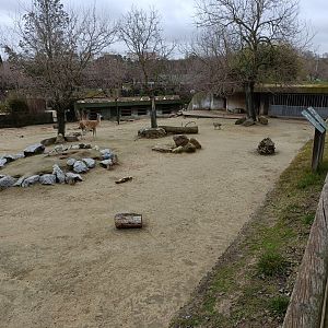 Mixed South america exhibit