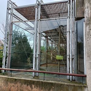 Empty primate exhibit