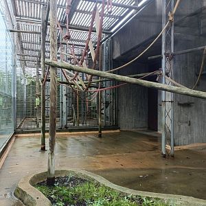Empty primate exhibit