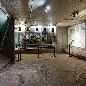 Inside chimpanzee house