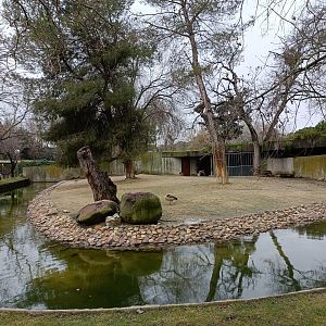 Dama gazelle exhibit