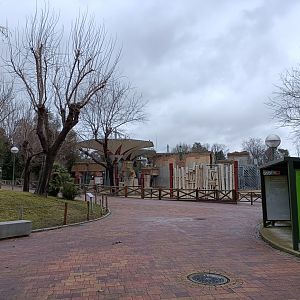 Asiatic elephant exhibit