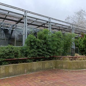 Empty primate exhibit